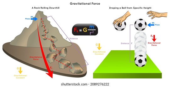 Gravitational Force Infographic Diagram example rock rolling downhill dropping ball from specific height showing mass distance gravity constant mathematical equation physics science education vector