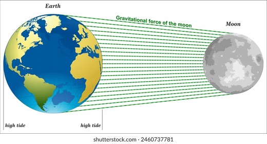 La fuerza gravitacional de la luna.