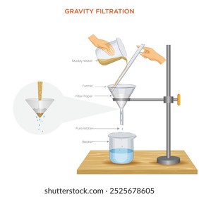 La filtración por gravedad separa los sólidos de los líquidos utilizando un papel Filtrar y embudo, dependiendo de la gravedad para jalar el líquido mientras el sólido permanece en el papel.