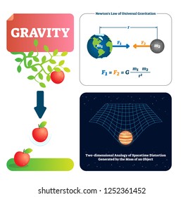 Gravity vector illustration. Explained natural force to objects with mass. Basics of universe physics. Gravitation gives weight to physical spacetime. Newtons law formula, universe and apple example.