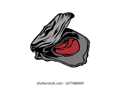 Gray Abalone shell vector illustration