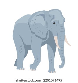 Gray african elephant concept. Large animal inhabitant of savannah or jungle. Heavy mammal with trunk. Design element for kids encyclopedia. Cartoon flat vector illustration on white background