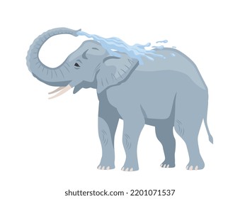 Gray african elephant. Sticker with big mammal splashing water from trunk or washing. Heavy animal from savannah. Design element for sticker. Cartoon flat vector illustration on white background