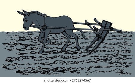 Gray Asian burro ass breed stallion pet go ranch burden isolated white text space. Black line hand drawn art sketch male mule beast mare ride equine retro history rustic Asia sign icon bridle culture