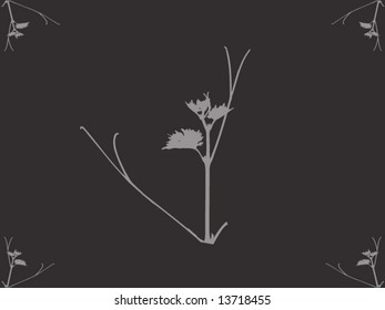 gray background with beautiful herb