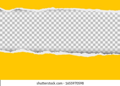 Gray background with copyspace and torn paper edge. Vector illustration.