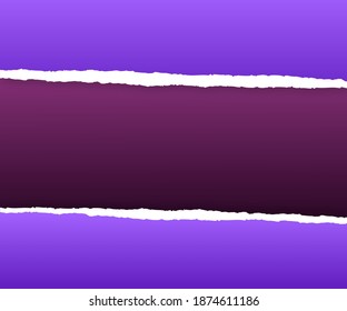 Gray background with copyspace and torn paper edge. Vector illustration.