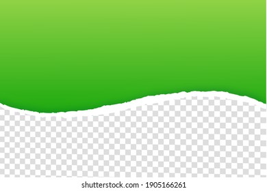 Gray background with copyspace and torn paper edge. Vector illustration.