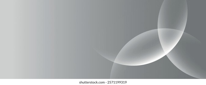 Gray background with smooth gradient and overlapping translucent circles. The background is modern and sleek, featuring gray tones. Minimal abstract circles vector gradient background