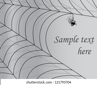 Gray background with spider and cobweb. Vector Illustration with  a place for your text