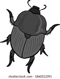 Escarabajo gris, ilustración, vector sobre fondo blanco.