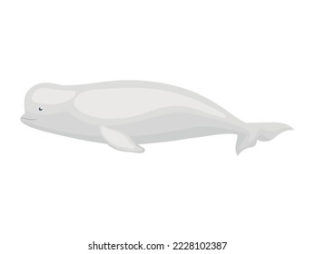 gray beluga design over white