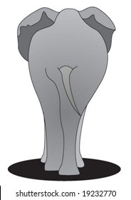 Gray big elephant is walking