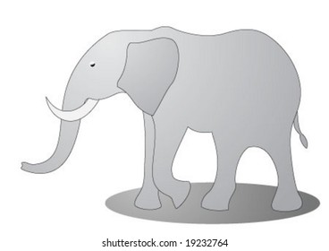 Gray big mammal is walking