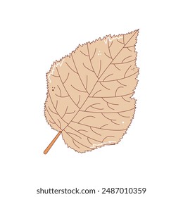 Gray birch leaf. Autumn fallen leaf, Colorful autumn concept. Fall foliage decoration, Seasonal holiday thanksgiving greeting card.  Trendy flat vector isolated illustration.