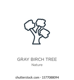 Gray birch tree icon. Thin linear gray birch tree outline icon isolated on white background from nature collection. Line vector sign, symbol for web and mobile