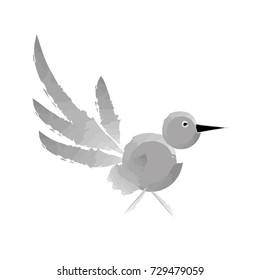 Gray bird on white background. Walking. Watercolor drawing. Isolated object. White background.