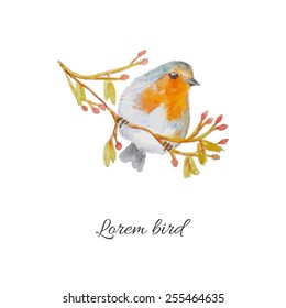 Watercolor Bird Robin On Branch Hand Stock Illustration 1438145939 ...