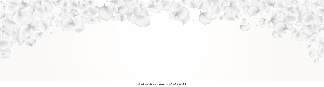 Gray Blossom Vector Light Panoramic Background. Delicate Fall Peach Illustration. Falling Rose Wallpaper. White Lotus Flying Banner.