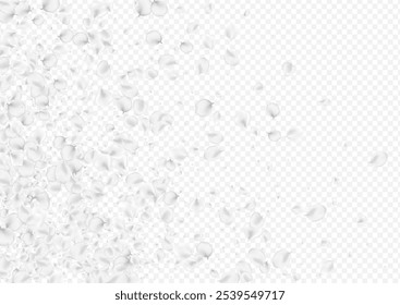 Gray Blossom Vector Transparent Background. Snowy Fly Cherry Template. Japan Petal Pattern. Delicate Lotus Beauty Wallpaper.