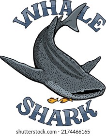 Gray And Blue Whale Shark With Gold Fish And Text Whale Shark.