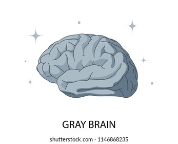 Gray brain. Vector illustration.
