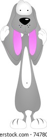 gray bunny