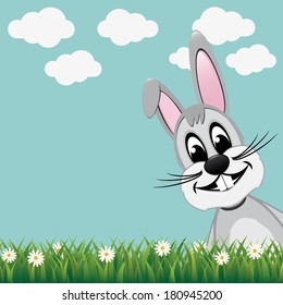 gray bunny look from side daisy meadow