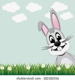 gray bunny look from side daisy meadow