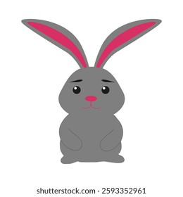 Gray bunny on a white background