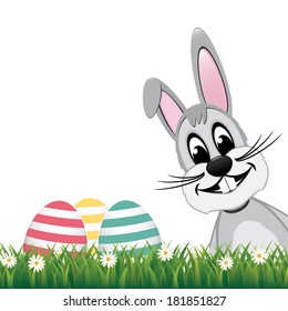 gray bunny side colorful eggs daisy meadow isolated