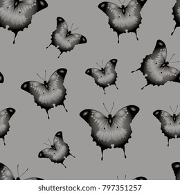 Gray butterflies on a gray background