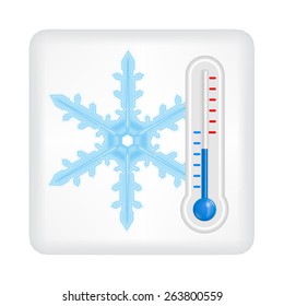 Gray button with blue snowflake and blue thermometer vector