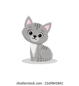 Gray cartoon kitten sits on a white background. Cute cat in cartoon style. Vector illustration  for postcard, banner, web, design, arts