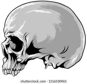 
Gray cartoon skull drawn sideways