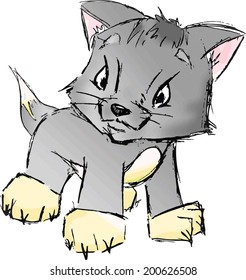gray cat