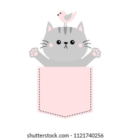 Gray Cat, Bird In Pink Pocket. Holding Hands Up. Give Me A Hug. Cute Cartoon Animals. Kitten Kitty Character. Dash Line. Pet Animal. White Background T-shirt Design. Baby Collection Flat Design Vector