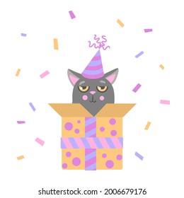 A gray cat in a birthday cap sits in a gift box. Postcard, poster.