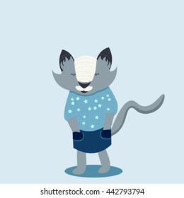Gray cat in blue clothes