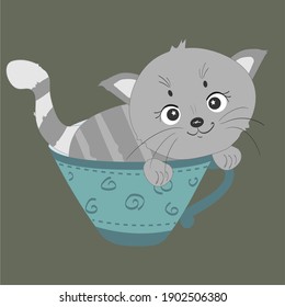 Gray cat in a blue cup, cute kitten