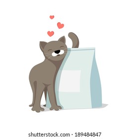 Gray  cat with box on isolated white background