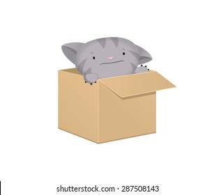 Gray cat in a cardboard box.
