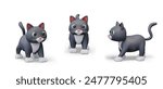 Gray cat in cartoon style. 3D model of domestic animal. Fluffy pet, view from different sides