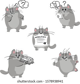 Gray cat collection. Cat poses set isolated. 