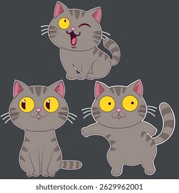 Gray cat with different facial expressions