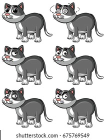 Gray cat with different facial expressions illustration