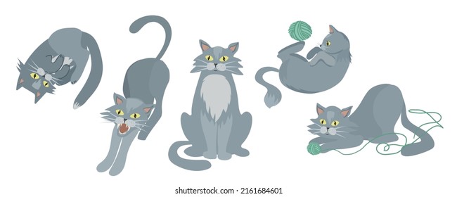Gray cat in different funny poses. The cat plays with threads.