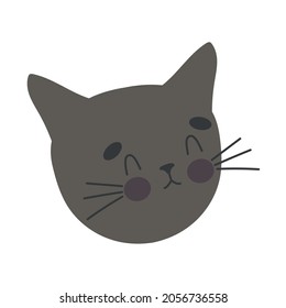 gray cat face on white background