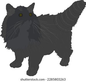 Gato gris con piel. Cabello suelto grueso