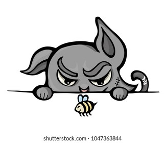 Gray cat gazzing ob bee